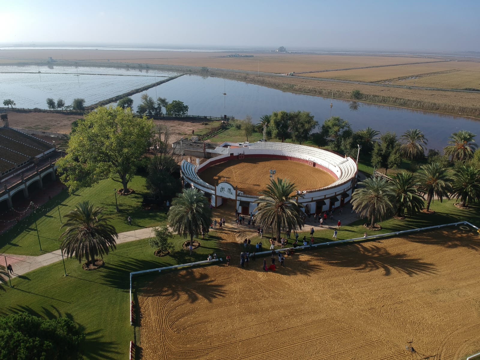 Detalle plaza de toros privada Hermanos Peralta