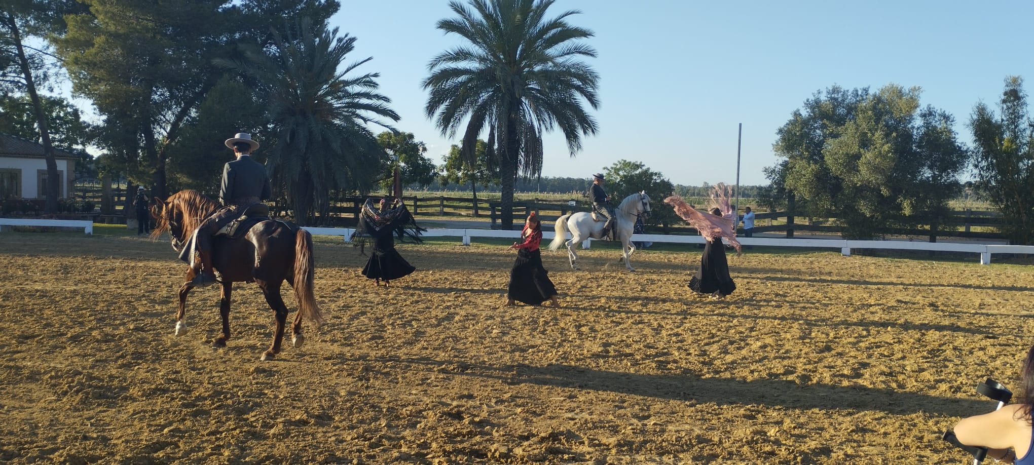 Exhibición de alta escuela ecuestre legado Hermanos Peralta