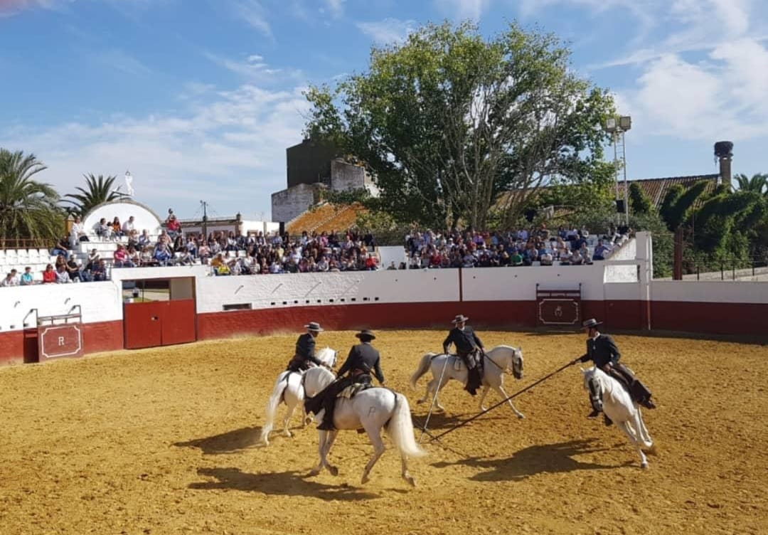 Público disfrutando del espectáculo ecuestre en evento