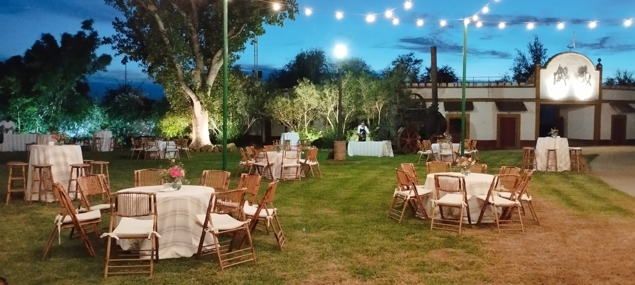 Palmeras y jardines cuidados en Rancho El Rocío