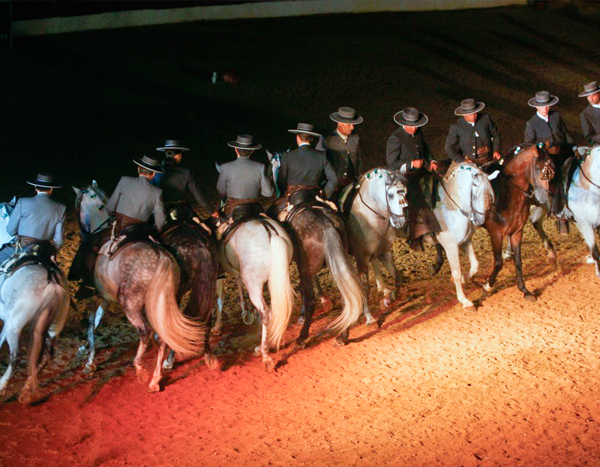 Espectáculo ecuestre en finca para bodas Sevilla