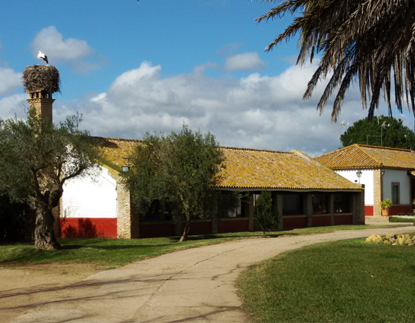 Camino de entrada a Rancho El Rocío con vegetación mediterránea