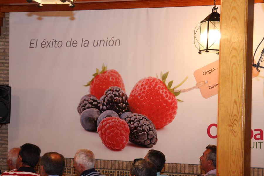 Presentación de producto