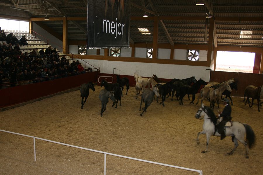Picadero cubierto