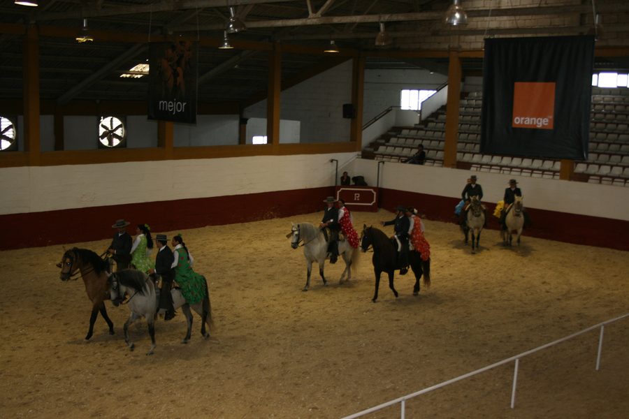 Espectáculo ecuestre Andalucía a Caballo