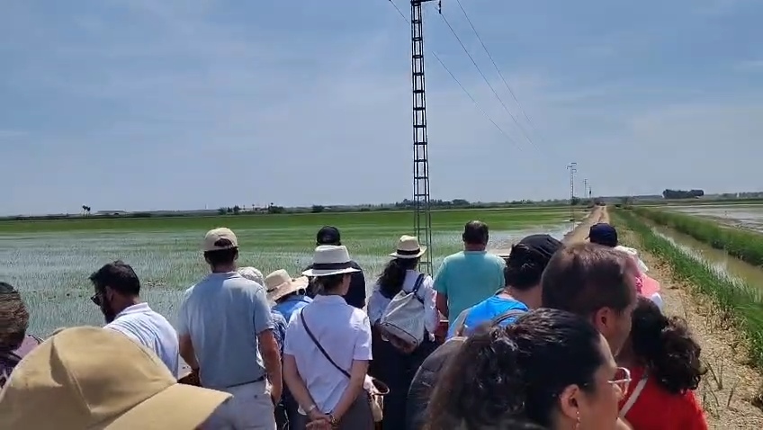 Grupo de visitantes paseando entre los arrozales de Rancho El Rocío
