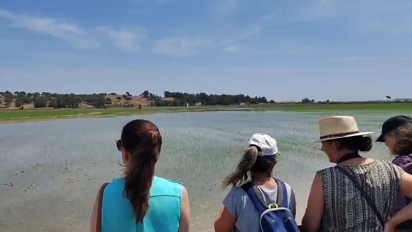 Visitantes ante un arrozal inundado junto a la marisma en Rancho El Rocío